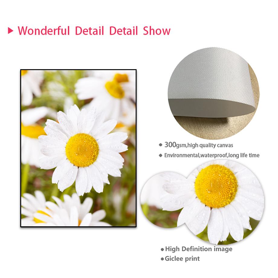 Гора, океан, водопад, девушка, ромашка, цитата, настенная живопись на холсте, постеры на скандинавскую тему и принты, настенные панно для декора гостиной