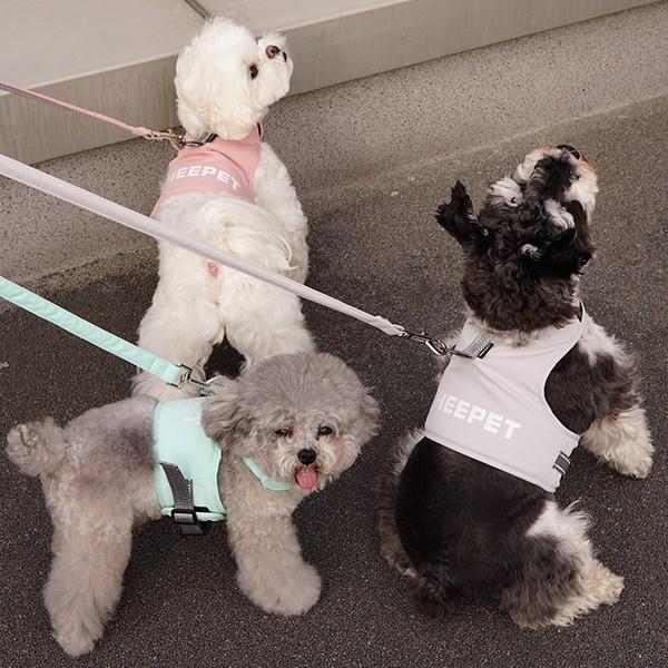 Dog Boutique Шлейка для собак, комплект одежды, комплект свинцового поводка, нагрудный поводок, товары для прогулок, серый