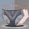 Ladies' Sexy Lace Briefs Transparent Plus Size Triangle Underwear Panties