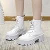 Coarse Heel Martin Boots Female Popular Autumn and Winter New Korean Version Internet Celebrity British Style Lace-up Thick Heel Thick Sole Mediu