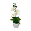 Artificial Plastic Phalaenopsis Flower Bonsai For Event Decoration Home Styling