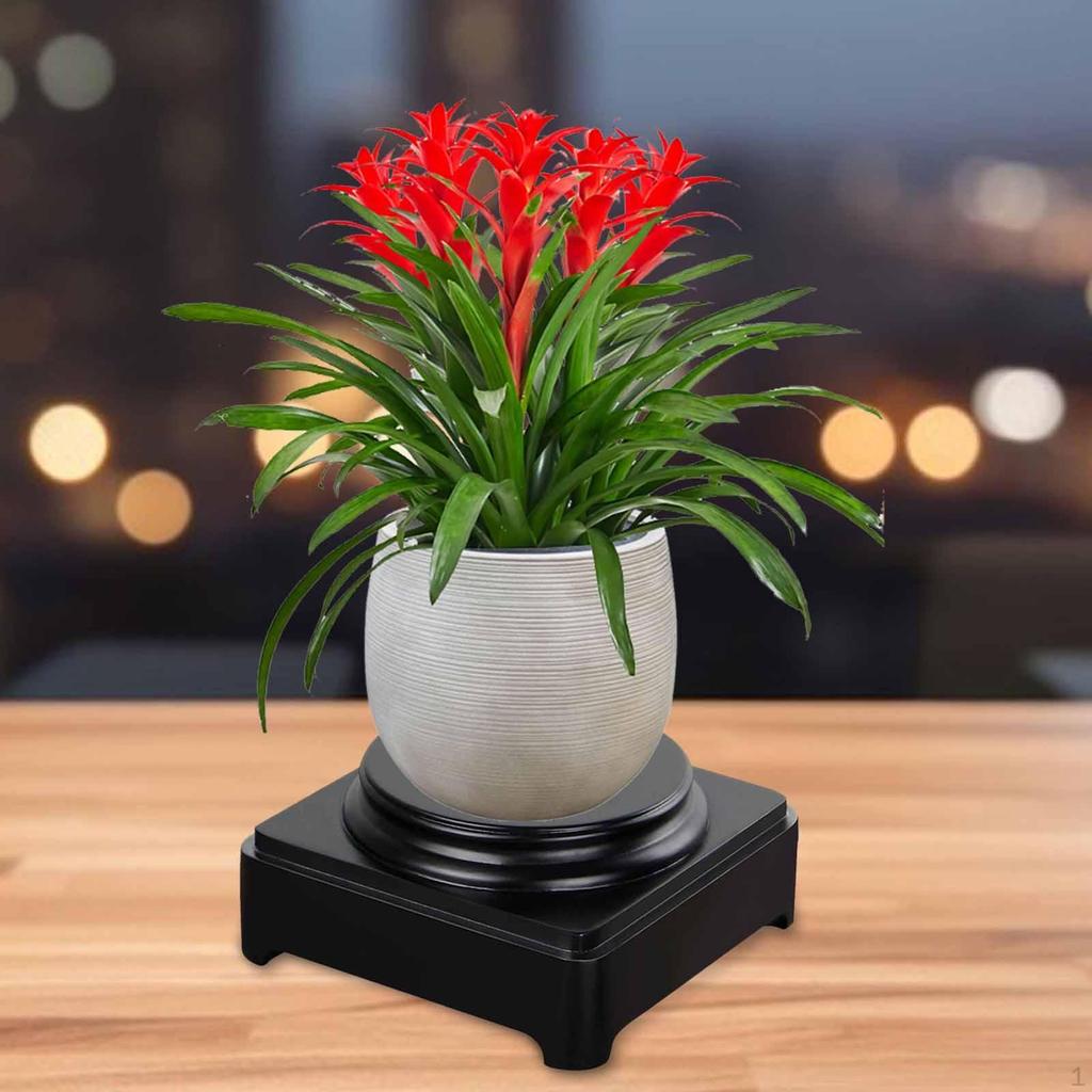 Art Exhibition Base Wooden Round Solid Vase Stand Decorative Display Wood for