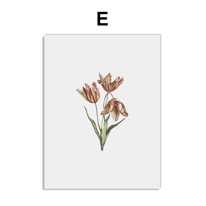 Винтажные постеры с дикими растениями, ботанические цветочные принты, картины на холсте, современные настенные художественные картины для гостиной, украшения дома