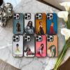 Чехол для телефона T-Teyana T-TaylorS со стилем обоев Для iPhone17,16,15,14,13,12,11 Plus,Pro Max Черный Конфетный серебристый чехол для телефона