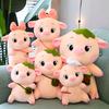 Creative Baby Pig Plush Toy For Girls Soft And Cuddly Animal Doll Wholesale Birthday Gift