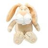 NICI Spring Rabbit Plush Cute and Ugly 25cm Toy, Pet, Gift, Beige,
