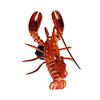 Yousheng Simulated Lobster Refrigerator Magnet Movable Joints Realistic Home Office Kitchen Locker Fridge Magnetic 3D Crayfish Decoration Ornament