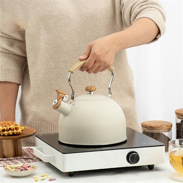 Чайник со свистком, чайник из нержавеющей стали с термостойкой ручкой для всех плит