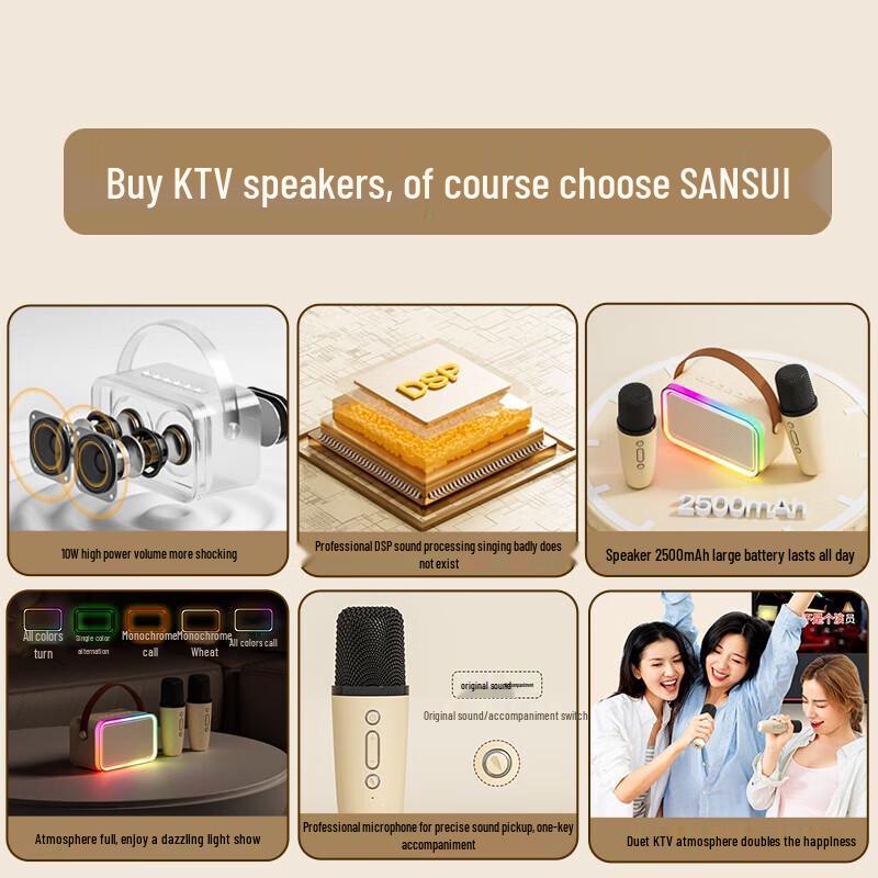 SAST A66 Домашняя KTV Караоке Микрофонная Акустическая Система Штекер CN (адаптер в комплекте)