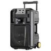 Bluetooth-караоке-колонка Malata Maestro M+9050E, 8 дюймов (Китайская версия)