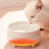 Heated Cat Bowl Rechargeable Pet Water Heating Bowl Noiseless Ceramic Water Bowl Cat Water Fountain Animal Drinking Dispenser