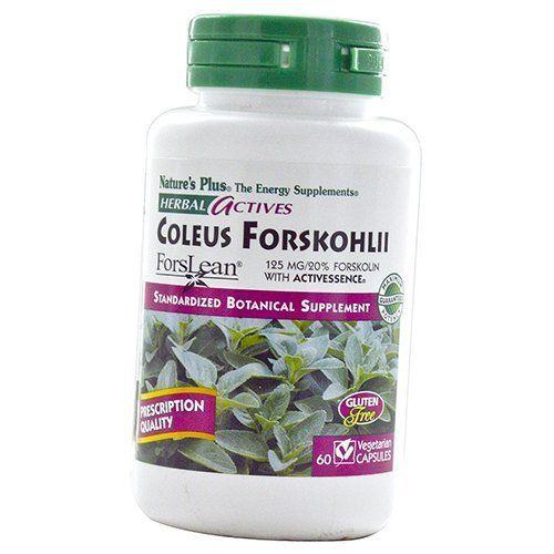 Форсколин, Herbal Actives Coleus Forskohlii, Nature's Plus 60вегкапс (71375033)
