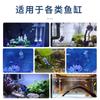 Fish Tank Decorations Aquarium Accessories Floating Diver Aquarium Ornaments Small Floating Ball Aquarium Accessories
