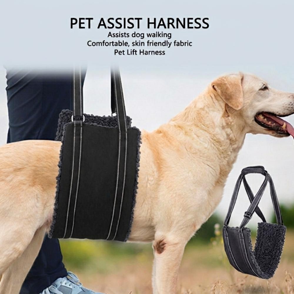 Multiple Sizes Dog Lift Harness Padded Lining Pet Assist Harness Dog Lifting Strap Outdoor Walking