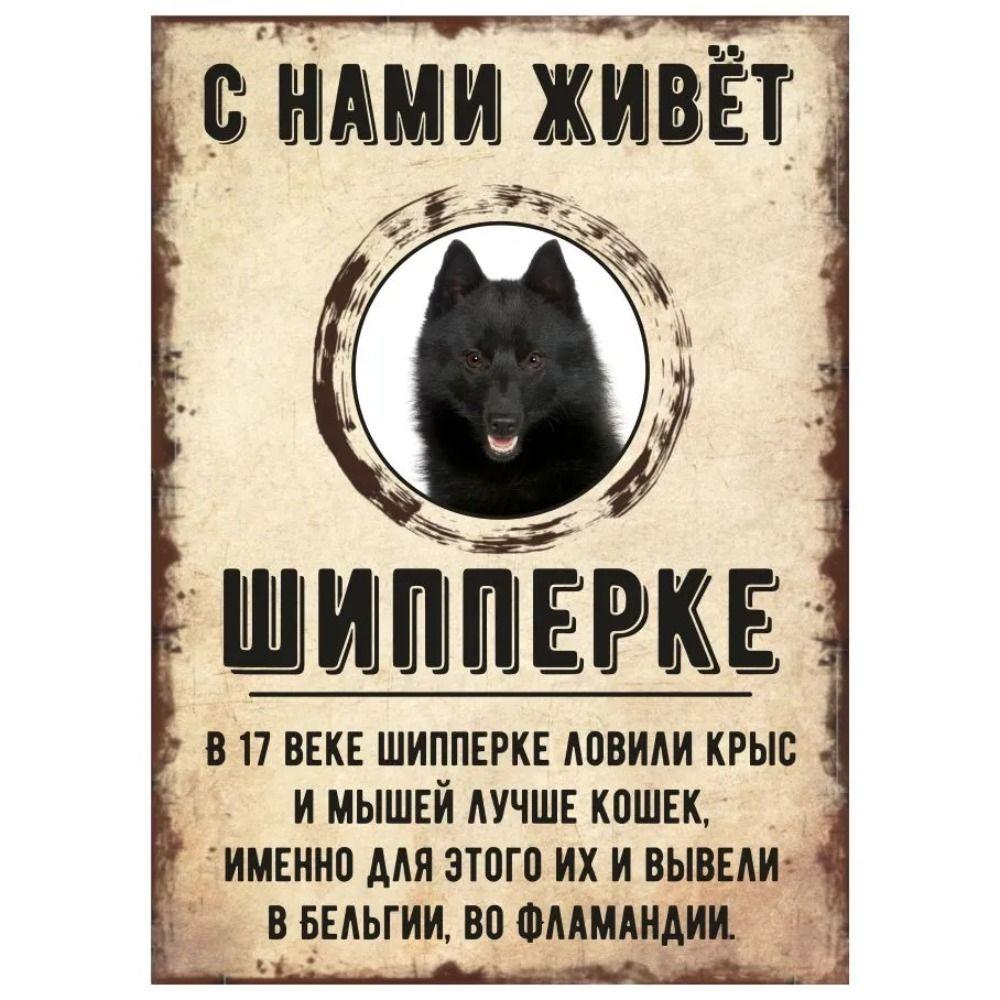ОСТОРОЖНО СОБАКА Забавная Шнауцер Металлическая Табличка Декор для Питомца 20x30см