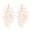 Jewelry Drop Earring Luxury Vintage Earrings Sweet Petals Tassel Earrings  Women