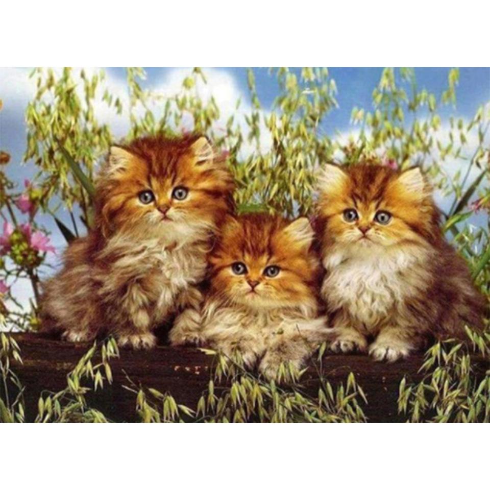 5D DIY алмазная живопись животное кошка собака набор для вышивки крестом полный круглый алмаз вышитая мозаика художественная картина украшение со стразами