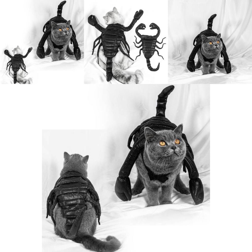 Unique Halloween Pet Costume Funny Scorpion King Outfit For Cats And Dogs Black Cloth