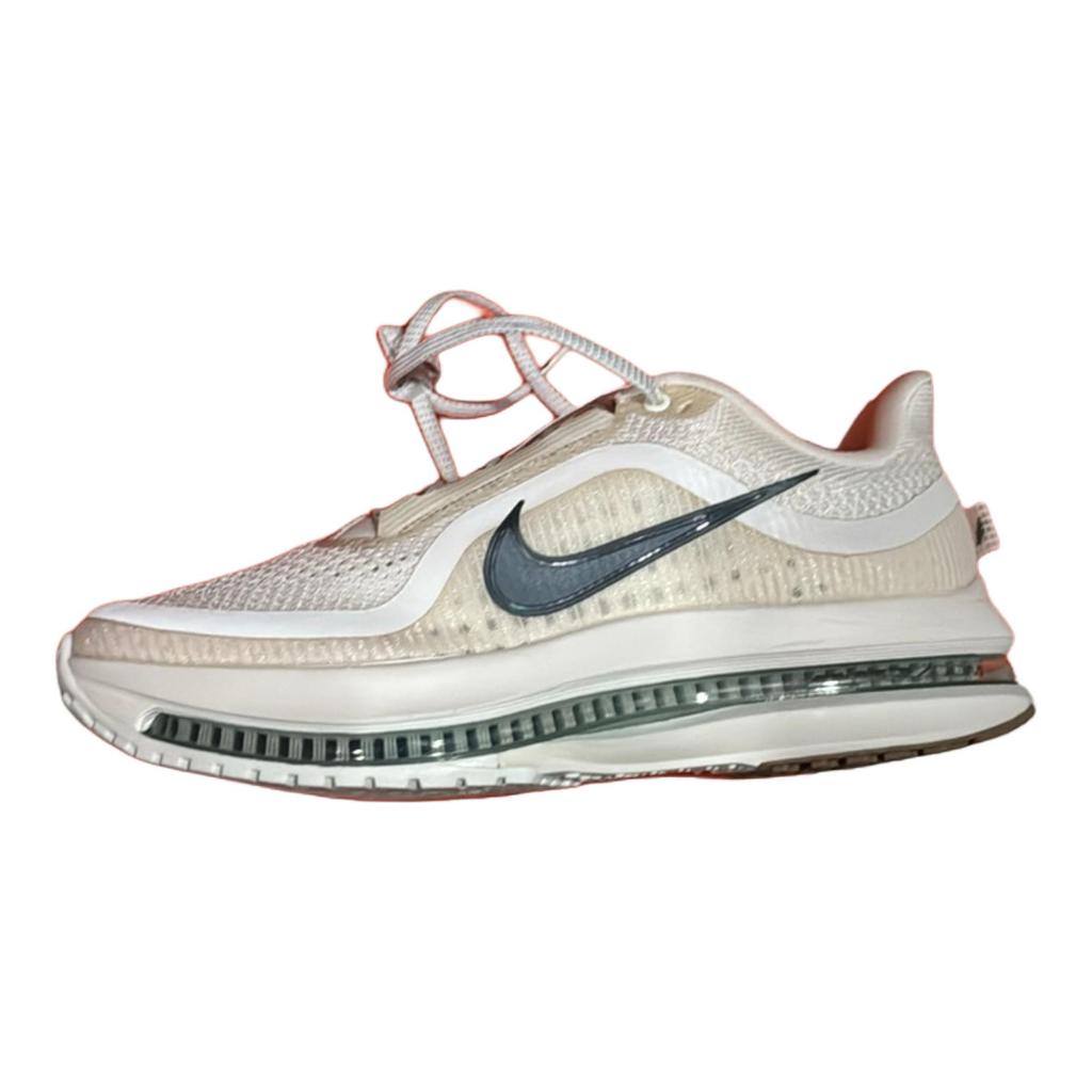 Nike Мужские беговые кроссовки Pegasus Premium Белые HQ2592-106