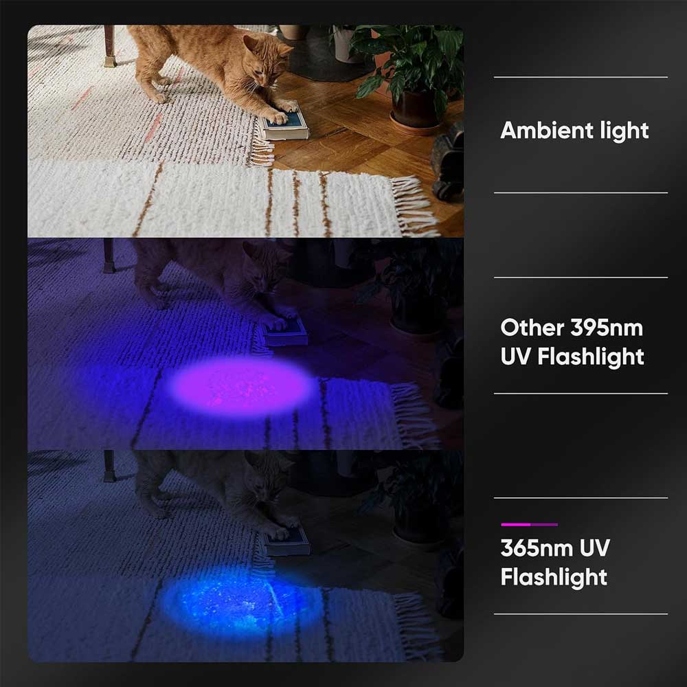 60W 6-Core 365nm UV Flashlight Black Mirror Purple Light Torch Ultra Viole Torch Pet Urine Stains Bed Bug Scorpions Detector