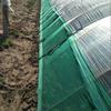 OIMG Thickened Plastic Poultry & Orchard Protection Net