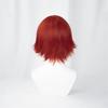 Dark Red Fluffy Cosplay Costume Wig with Event Wig Men's Wig, All-Purpose Wig, Unisex, Heat-Resistant Fiber, Net,
