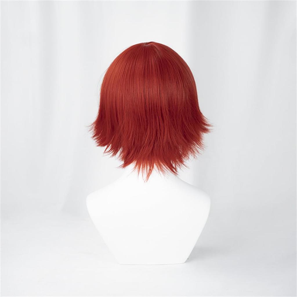Dark Red Fluffy Cosplay Costume Wig with Event Wig Men's Wig, All-Purpose Wig, Unisex, Heat-Resistant Fiber, Net,