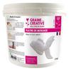 Molding Plaster 5 Kg