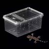 Reptile Feeding Box Breeding Critter Hatching Container Clear Terrarium Habitat Cage for Animal