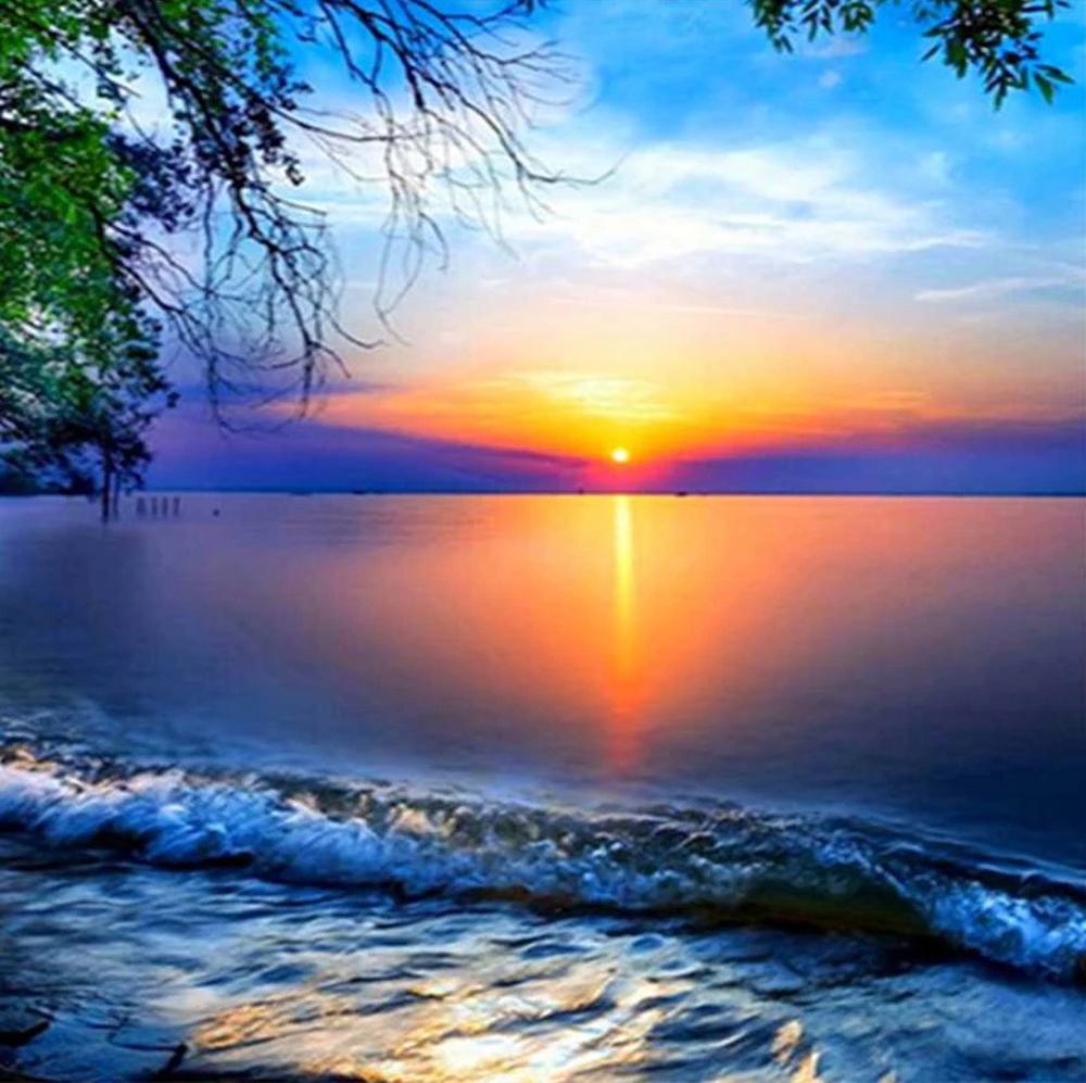 5D Diy алмазная живопись животное Сова Алмазная вышивка пейзаж закат мозаика вышивка крестиком украшение дома Рождественский подарок