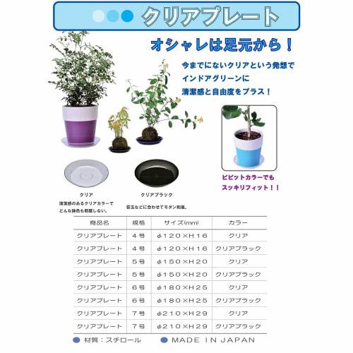 Yamato Plastic Прозрачная тарелка, Нет. 7, Очистить