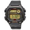 Casio Стандартные цифровые часы Black Gold LCD Overseas Модель DW-291H-9AV Мужские [Товар]