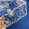 Suction Cup Mount Aquatic Plant Cup Acrylic Hanging Fish Tank Pot  Aquatic Plants