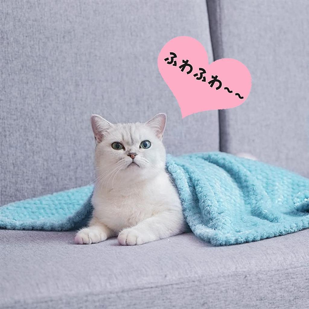 RIKMSS Pet Blanket for Dogs and Cold Suitable for Cat and All Seasons of Cats, Towel, Mat, Cushion, Warm, Fluffy, Protection, Washable, Beds, Kennels,