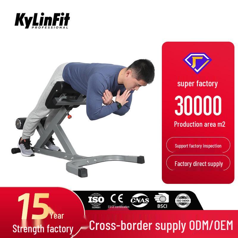 Commercial Roman Chair Back Trainer & Fitness Bench