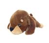 Shinada Plump Doglep (L) Dachshund