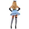 Alice Wonderland, Maid Dress, Maid Dress, Princess Dress Queen Halloween Costume