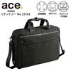 Деловая сумка Ace Gene, Retentory, 42 см, формат B4, 2 отделения, совместима с 15-дюймовыми ПК, расширяемая, функция крепления к ручке чемодана, 55163 01, черный