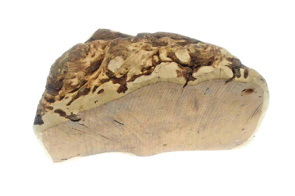 Briar Root Chew 4DOGS Size XXL