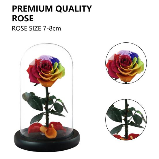 Нежная вечная роза в стеклянном куполе, романтическая невыцветающая одежда для взрослых, создающая атмосферу