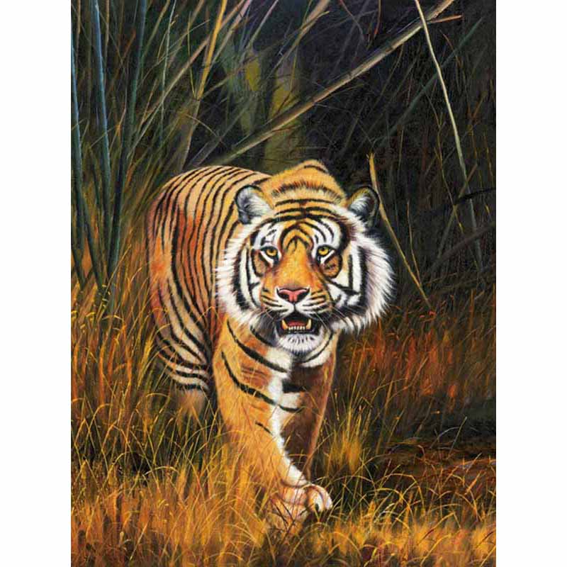 Новый 5D DIY алмазная живопись Тигр Алмазная вышивка животные вышивка крестиком полная квадратная круглая дрель ремесла домашний декор ручной подарок