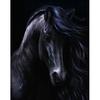 5D Diy Diamond Painting Handsome Dark Horse Diamond Embroidery Cross Stitch Home Decor Handmade Gifts