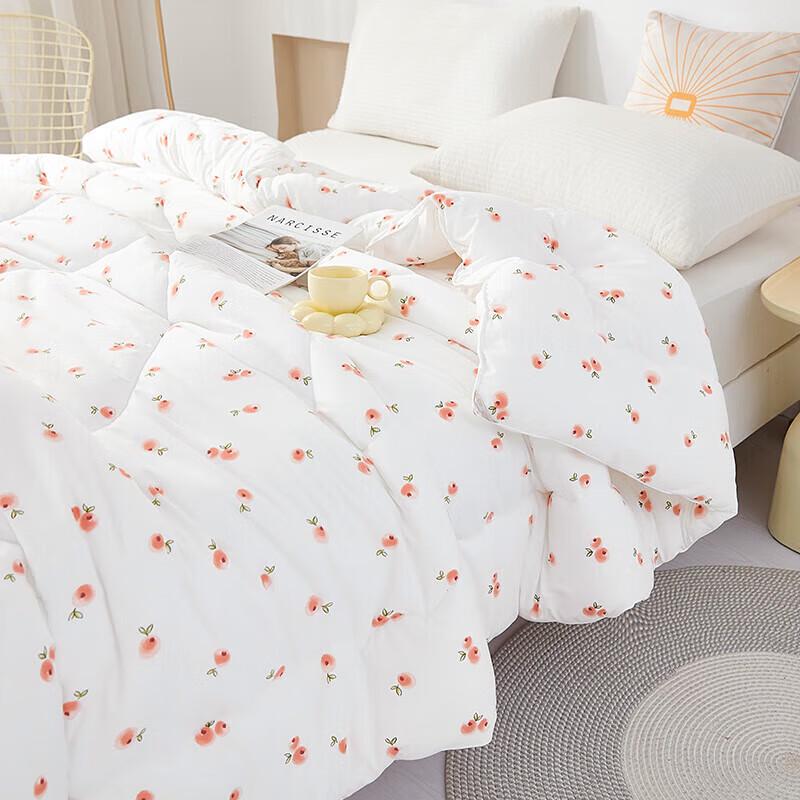 Donna Home Textiles 5A Antibacterial Baby Velvet Ginger Quilt