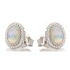 [R5598] - Artisanal Silver Earrings 'Goddess Opal' Silver White (rhodium) - 10x8mm