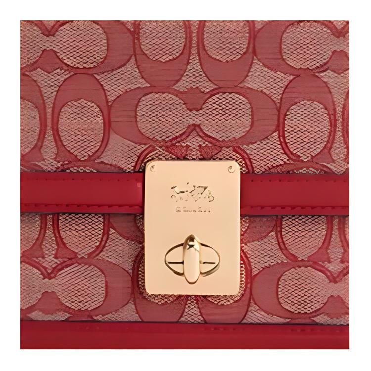 Coach Hutton 21 Monogram Leather Small Square Chain Bag Women bags Ruby CZ491-IMRBY
