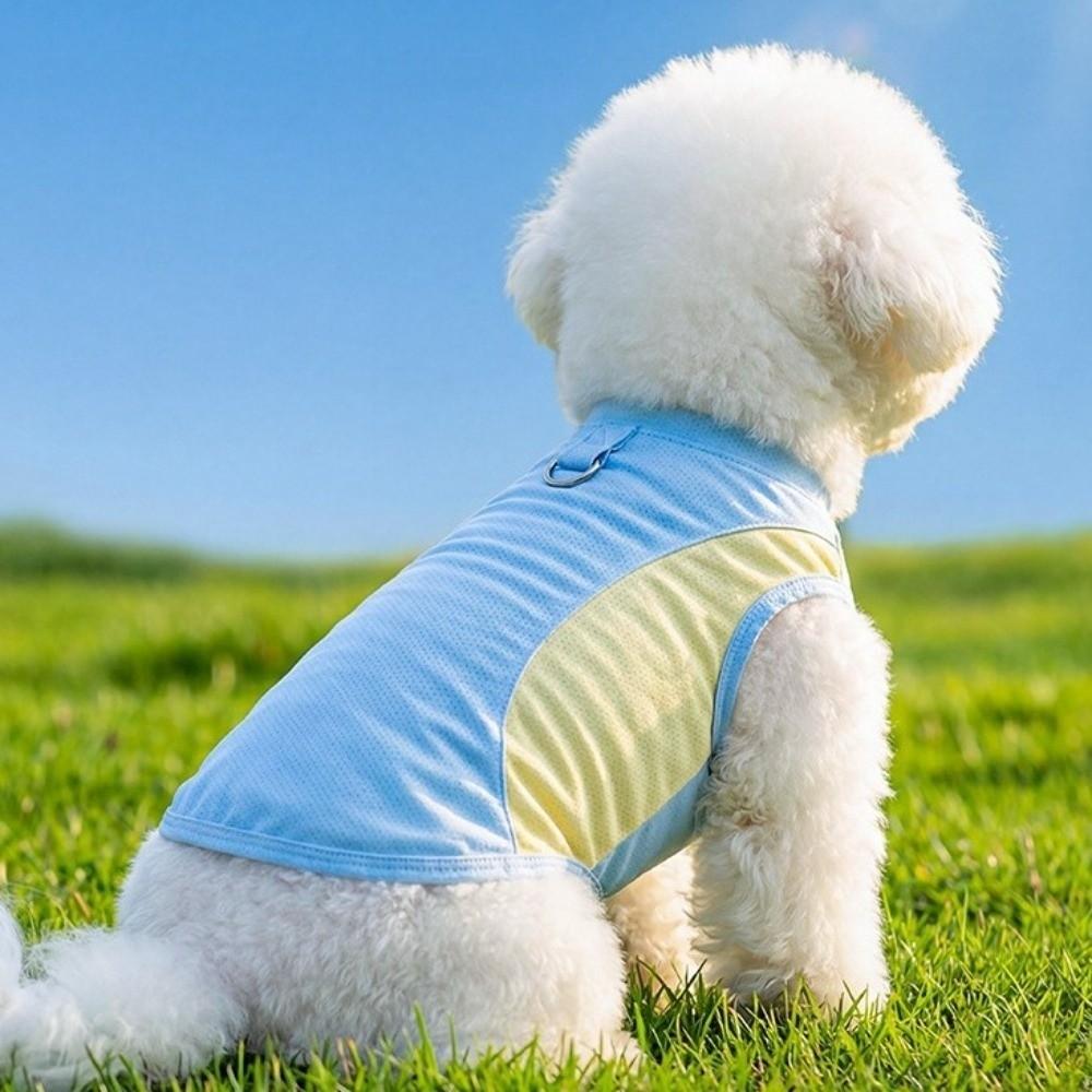 Breathable Mesh Dog Cooling Vest Comfortable Pet Summer Clothes Outdoor Walking