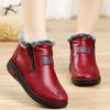 2024 Fashion Women Boots Plush Winter Women Shoes Causal Ankel Antislip Fenmale Snow Warm Fur Waterproof Botas Platform Shoes