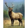 5D DIY полная круглая дрель алмазная живопись олень животное Алмазная вышивка набор крестиков мозаика подарок из смолы настенное искусство домашний декор