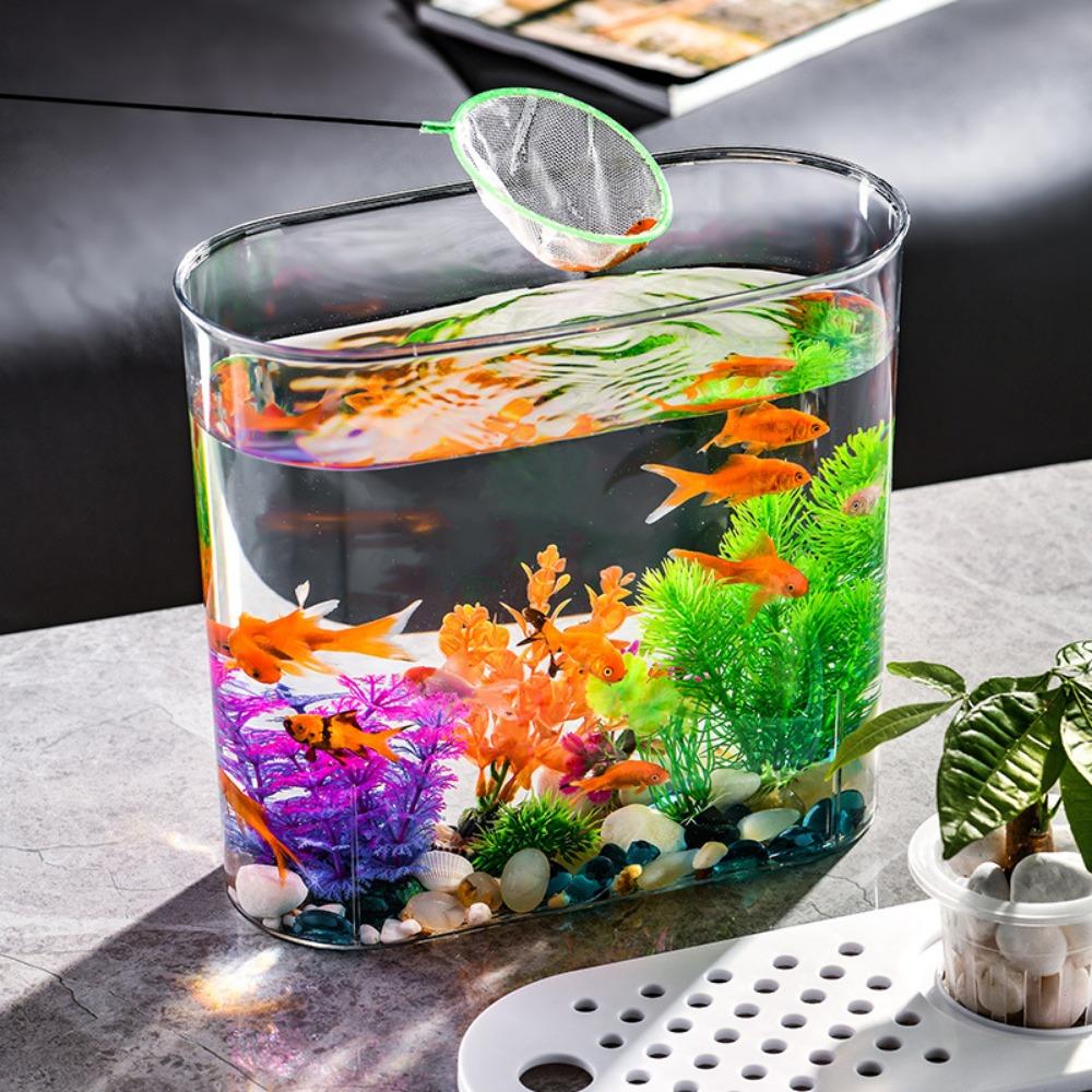 Transparent Aquaponic Fish Bowl Removable Plastic Hydroponic Fish Tank Goldfish Tank Table