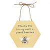 Something Different Thank You Teacher Hanging Sign